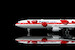 McDonnell Douglas MD11F Martinair Cargo PH-MCU Flaps Down YY1113F