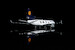 McDonnell Douglas MD11F Lufthansa Cargo "100 years of aviation cargo" D-ALCC YY1116