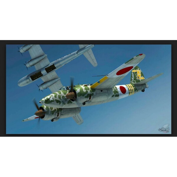 Kawasaki Ki45 Kai Tei "Toryu"(BACK IN STOCK) 13